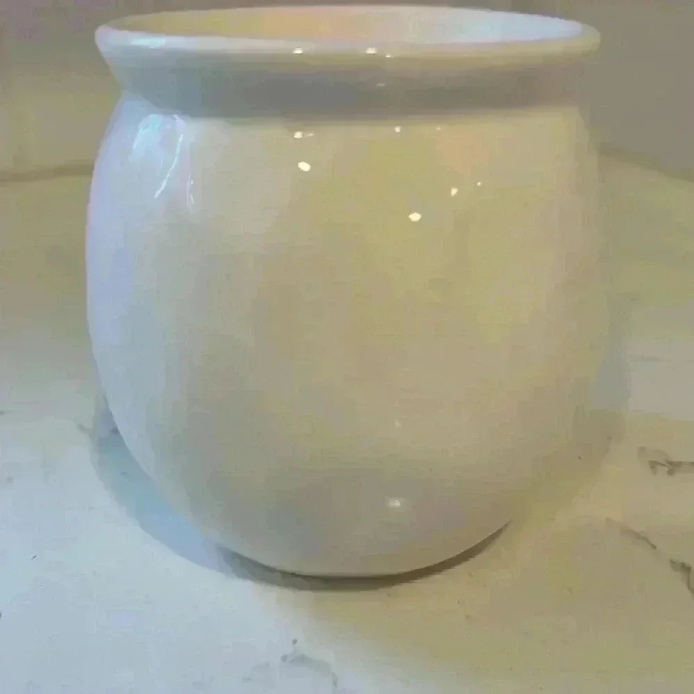 Magenta (Rae Dunn) Naughty Pot